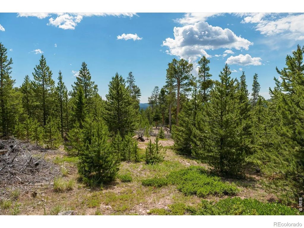 410 Pearl Creek Road, Red Feather Lakes