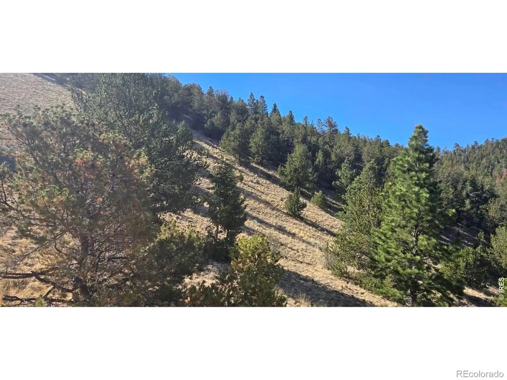 County Road 41g (camero Road), Center