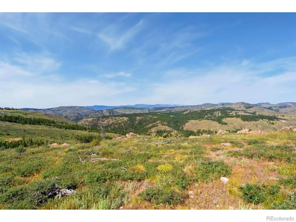 1351 Walking Wind Drive, Bellvue
