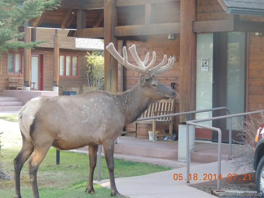 1565 Highway 66 #49, Estes Park