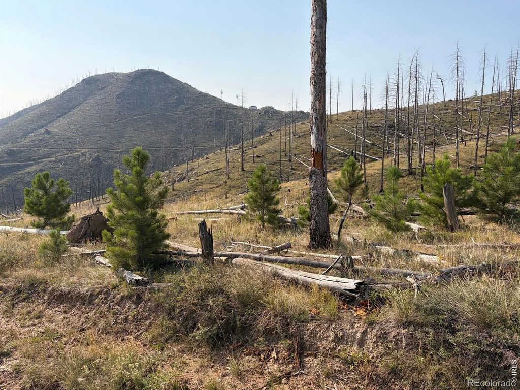Pine Acres Road, Bellvue
