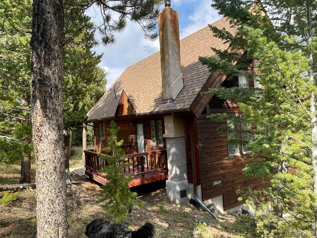 785 S Skinner Road, Allenspark