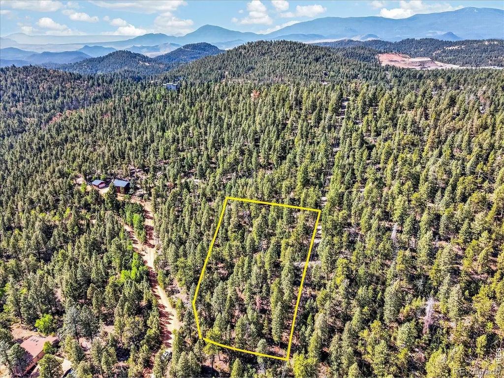 12907 S Cindy Avenue, Pine