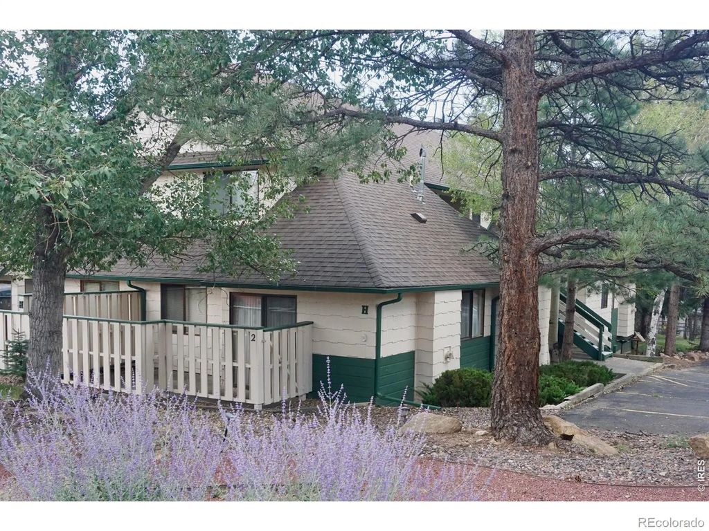 1010 S Saint Vrain Avenue H2, Estes Park