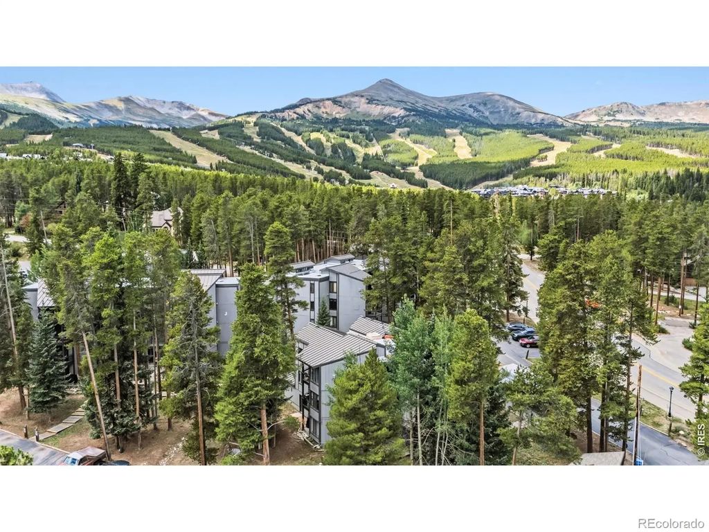 1155 Ski Hill Road 117, Breckenridge