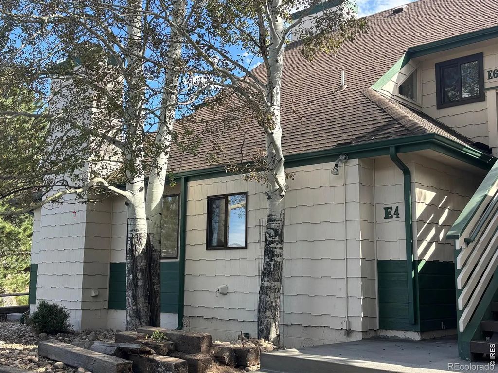 1010 S Saint Vrain Avenue 4, Estes Park
