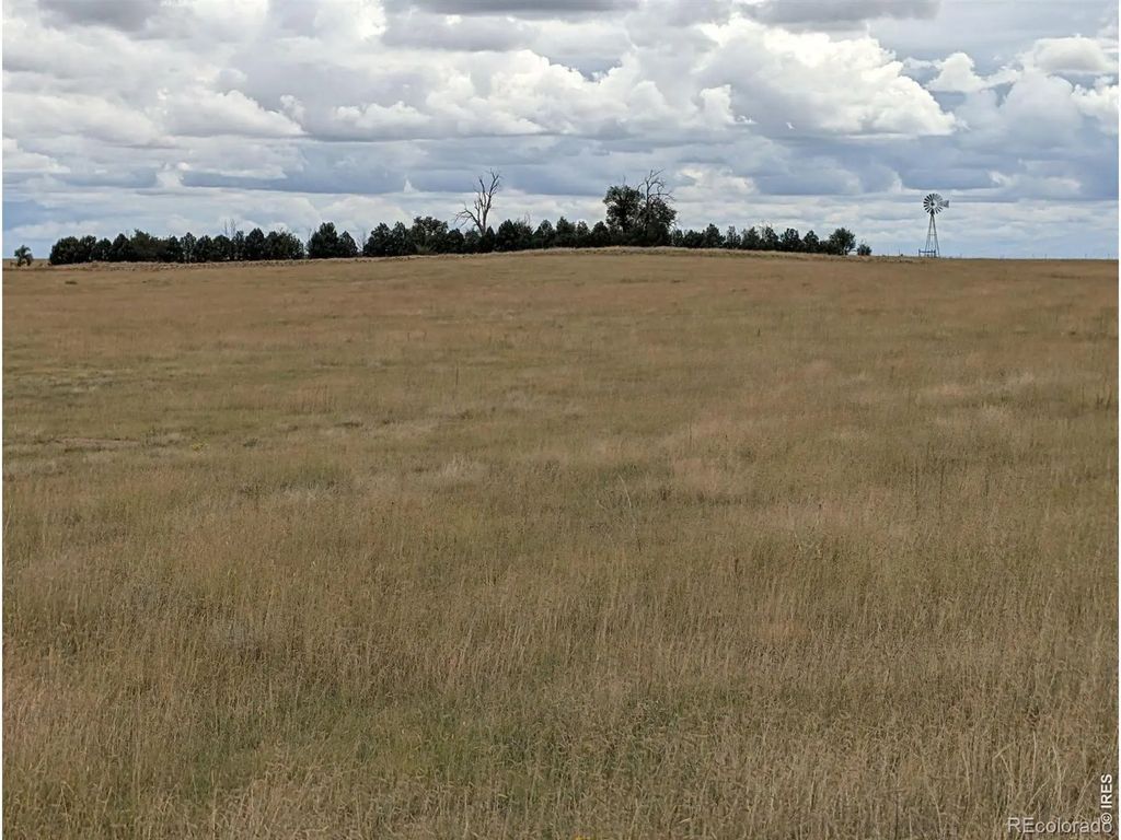 Hwy 94, Rush