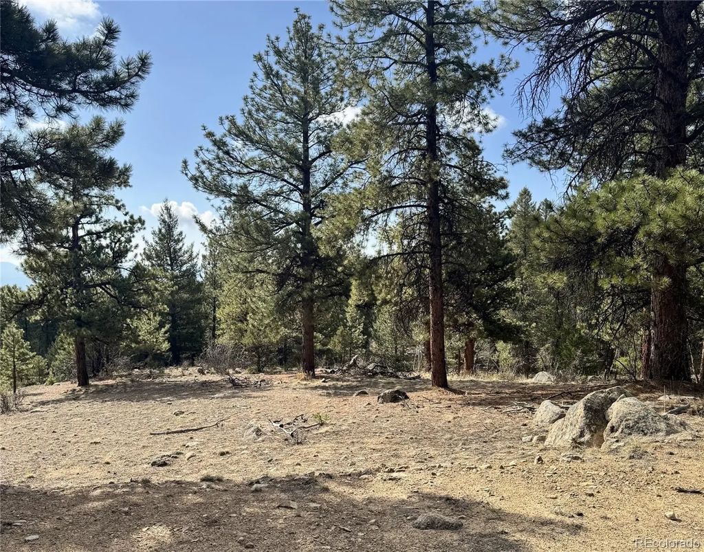 30317 Aspen Turn, Buena Vista