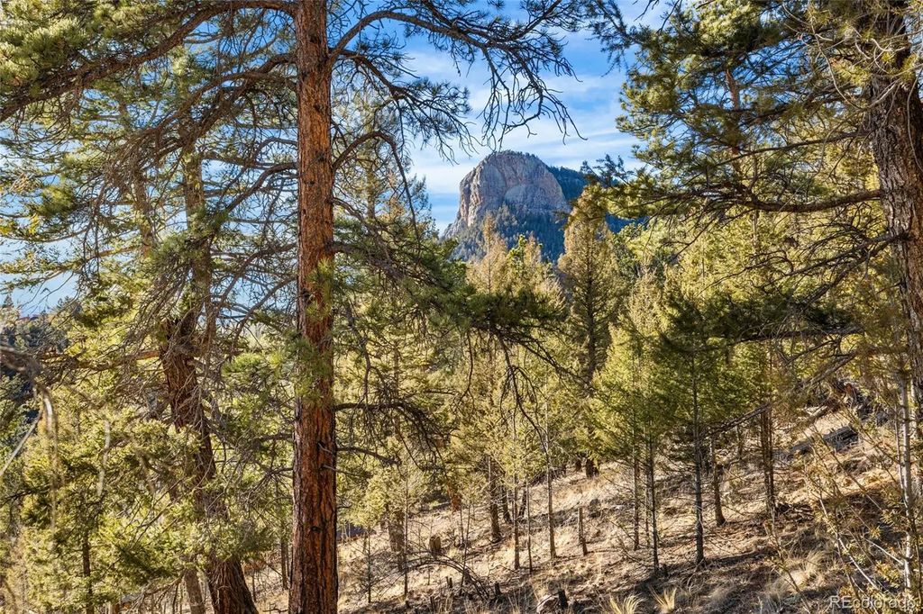 35441 Upper Aspen Lane, Pine