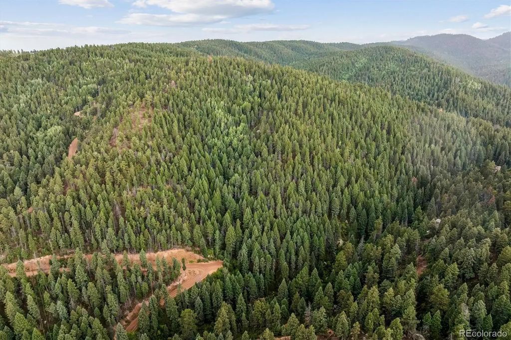 Forest Lane, Larkspur