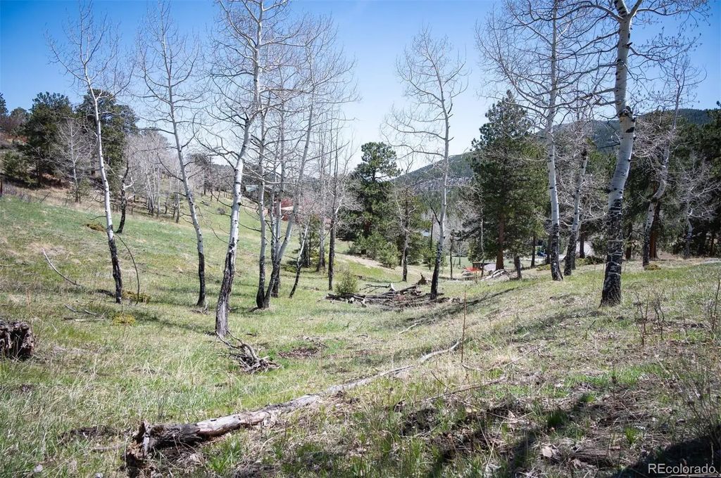 Tbd Pine Valley Road, Evergreen