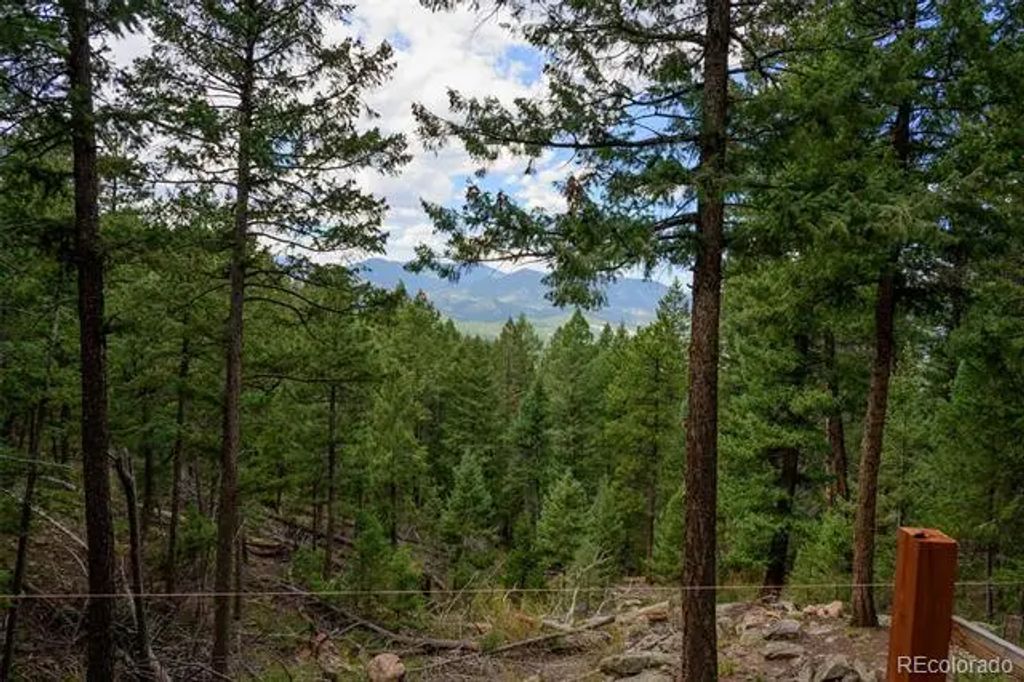 Fern Gulch Lot 14 Road, Evergreen