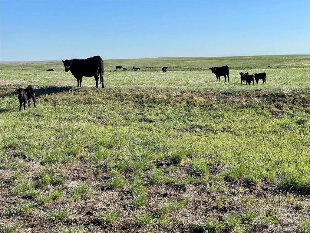 County Road 125, Deer Trail