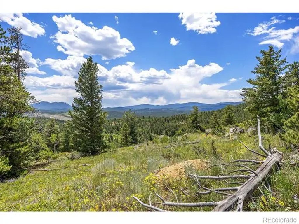 1568 County Road 103, Nederland