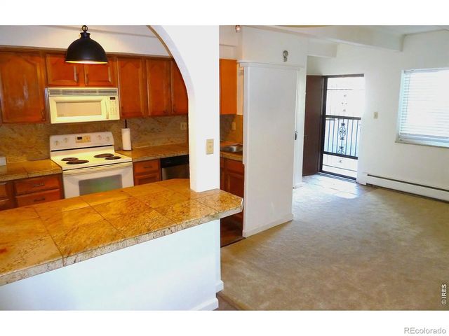 590 N Logan Street 110, Denver