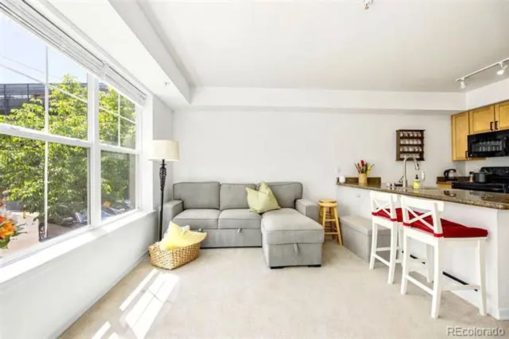 1623 Saint Paul Street 209, Denver