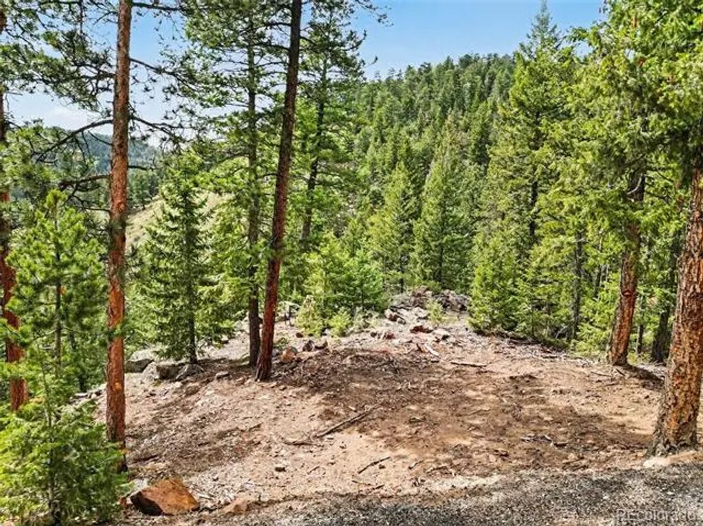 7141 Timber Trail Road, Evergreen