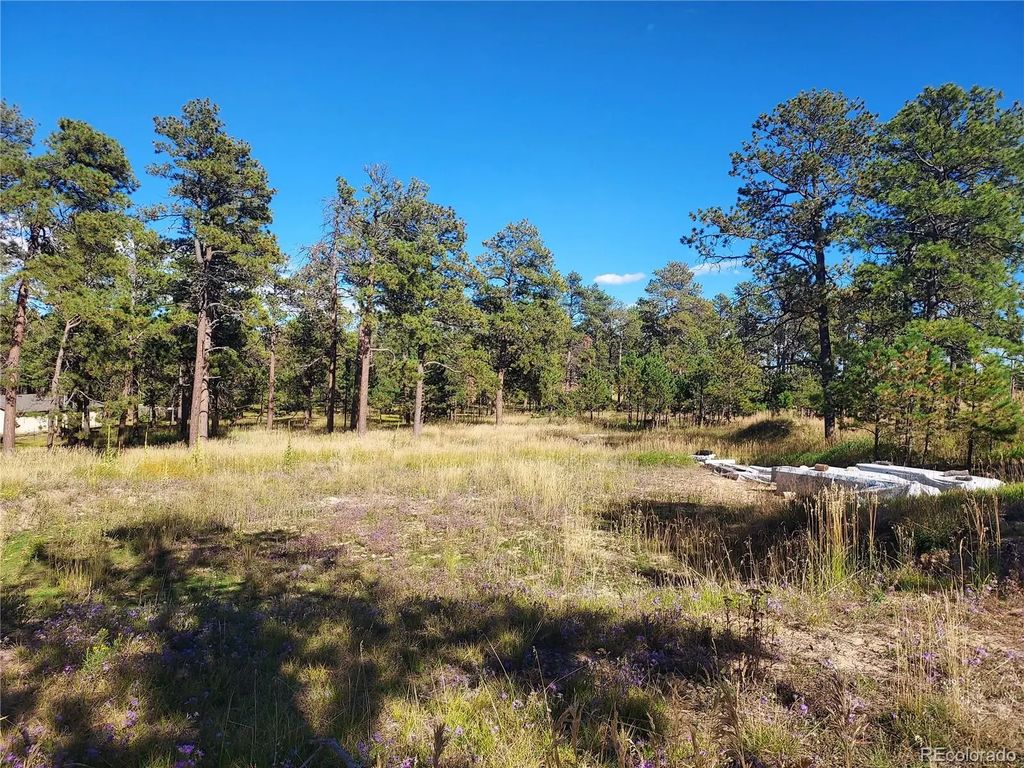 13395 Frank Road, Colorado Springs