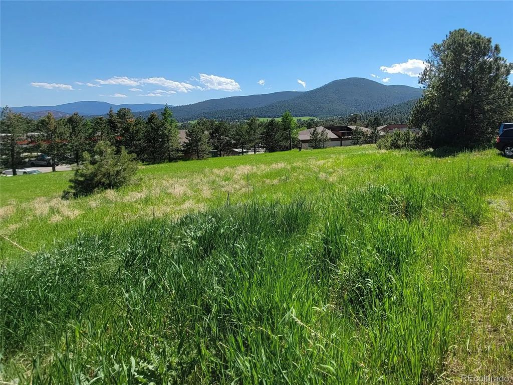 31720 Rocky Village Drive, Evergreen