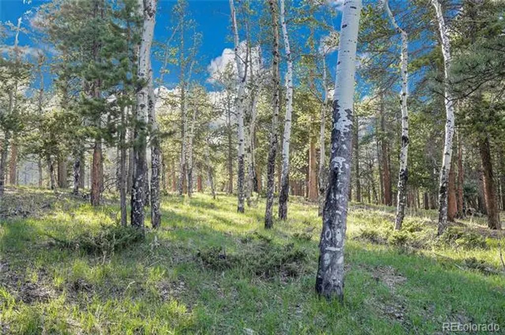 Molly Dr, Lot #3, Conifer
