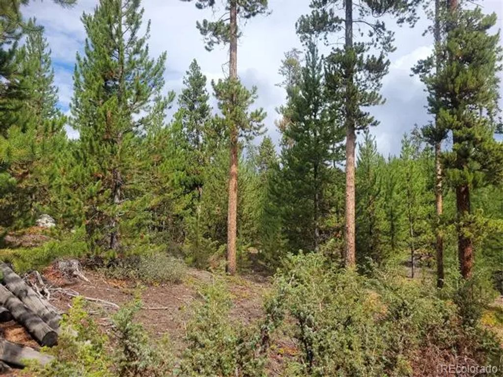 65 Grand County Road 6621, Grand Lake