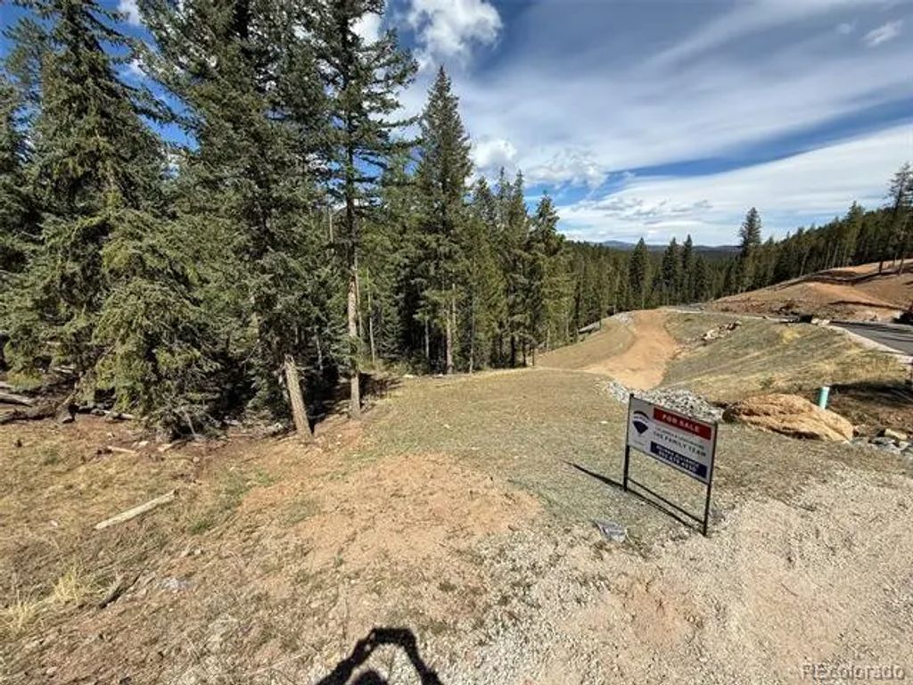 6845 Lynx Lair Road, Evergreen