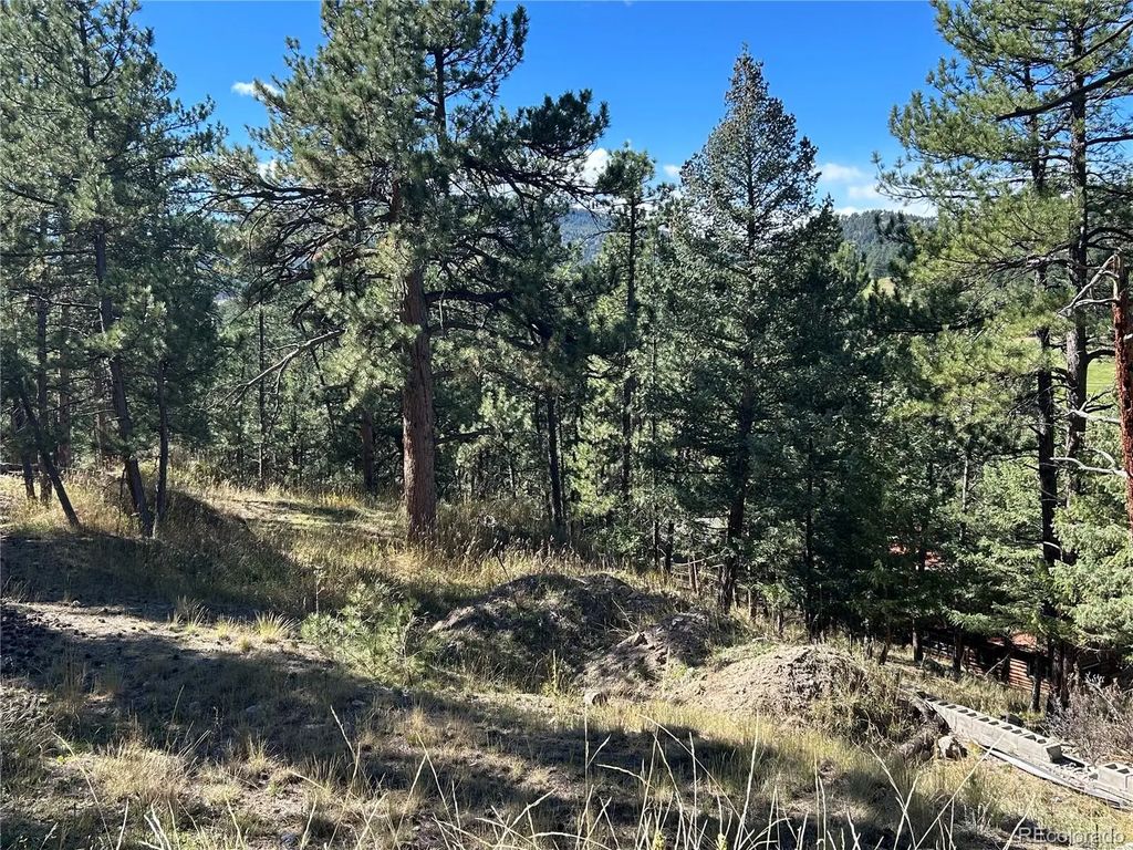 Pine Road, Evergreen