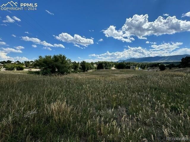 Photo of Listing #7132381