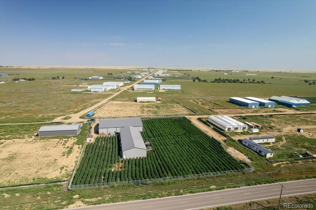 Photo of Listing #3893536