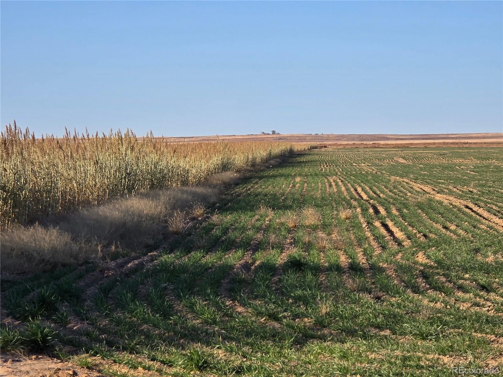 Photo of Listing #2367818