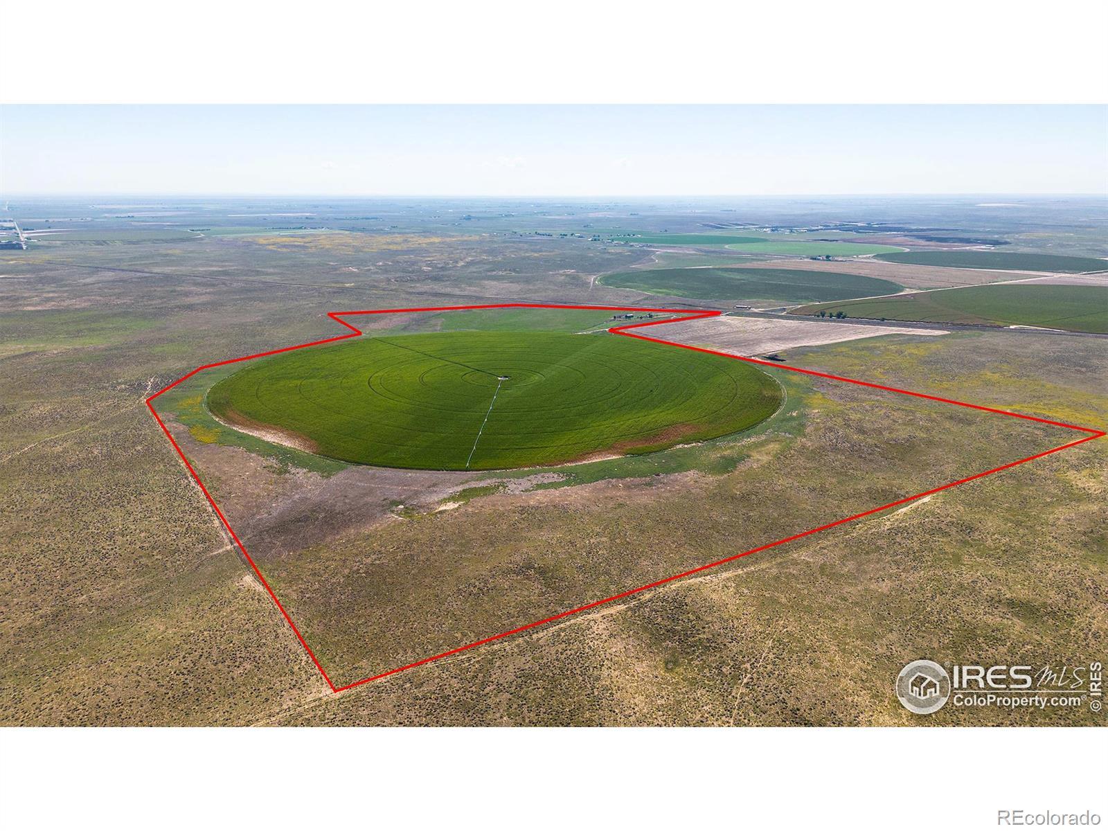 Photo of Listing #IR1018791