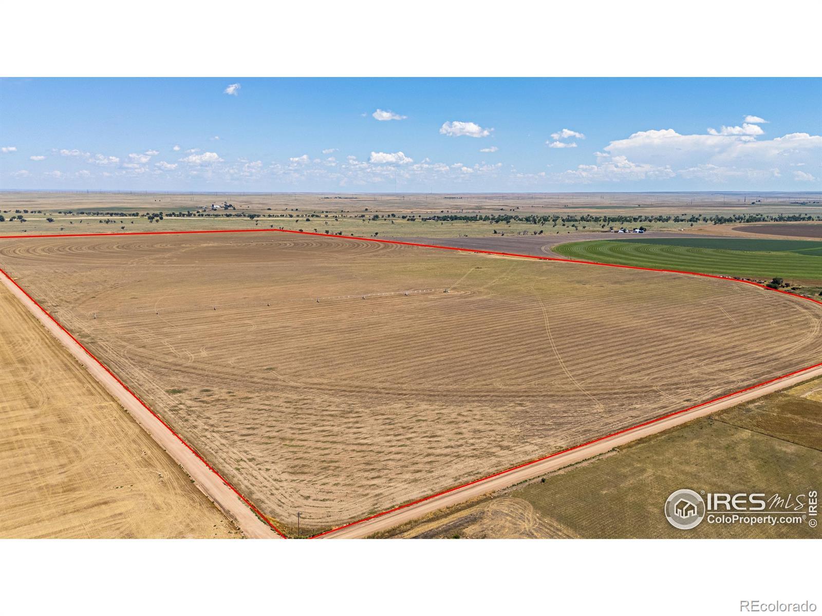 Photo of Listing #IR1042429