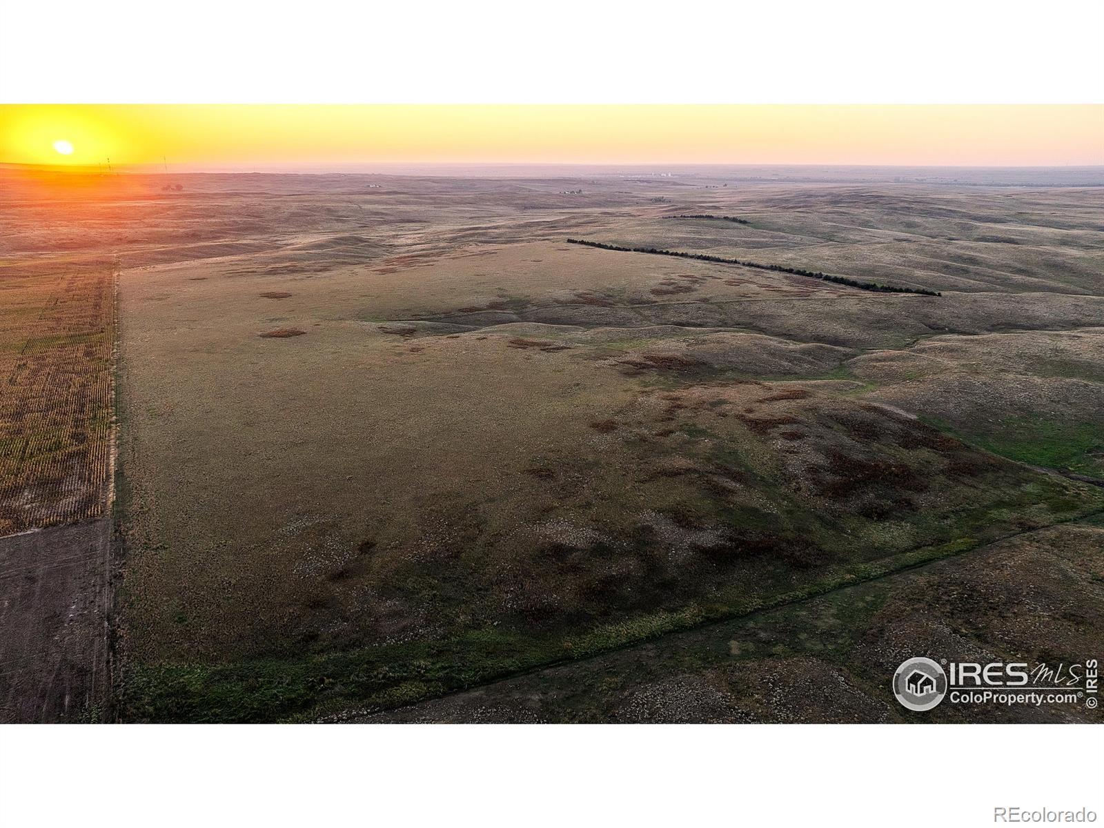 Photo of Listing #IR1044646