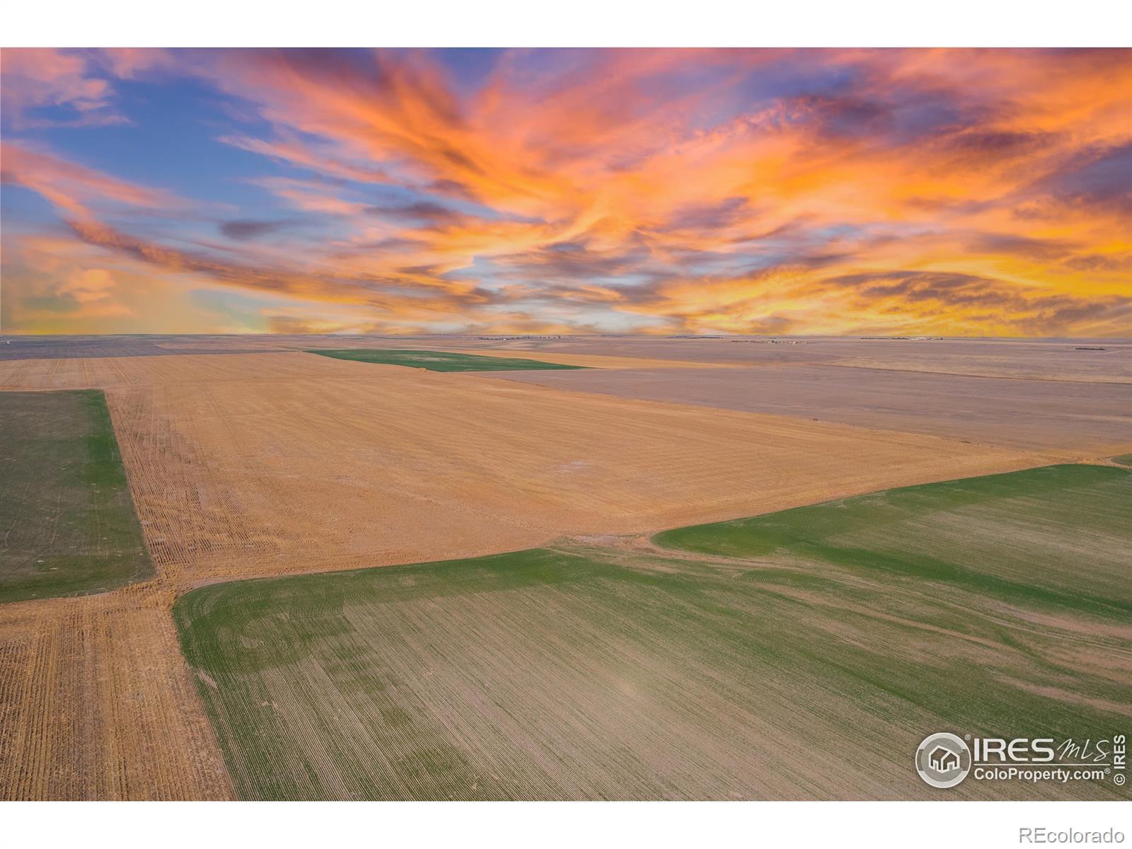 Photo of Listing #IR1047276