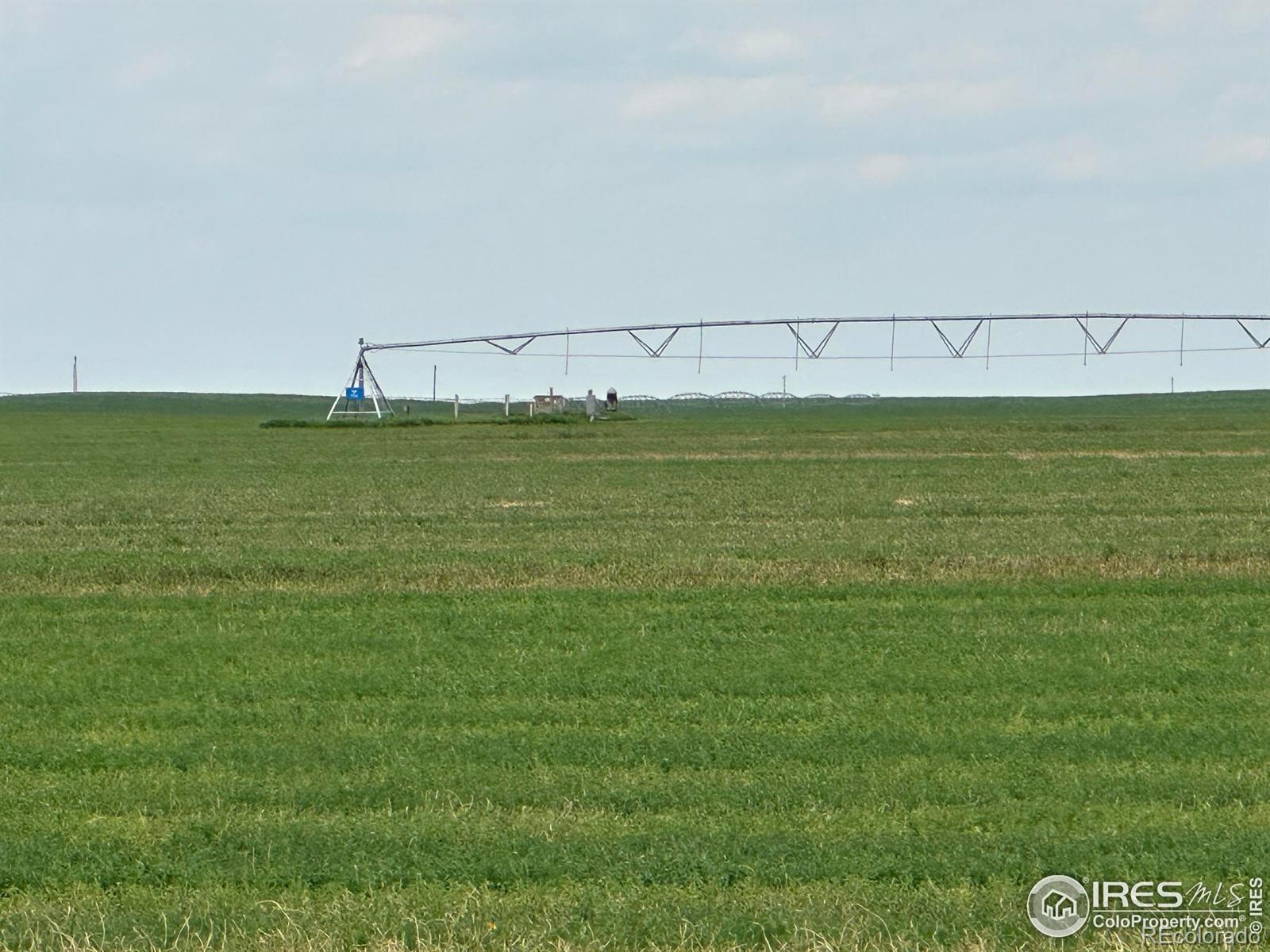 Photo of Listing #IR1048614