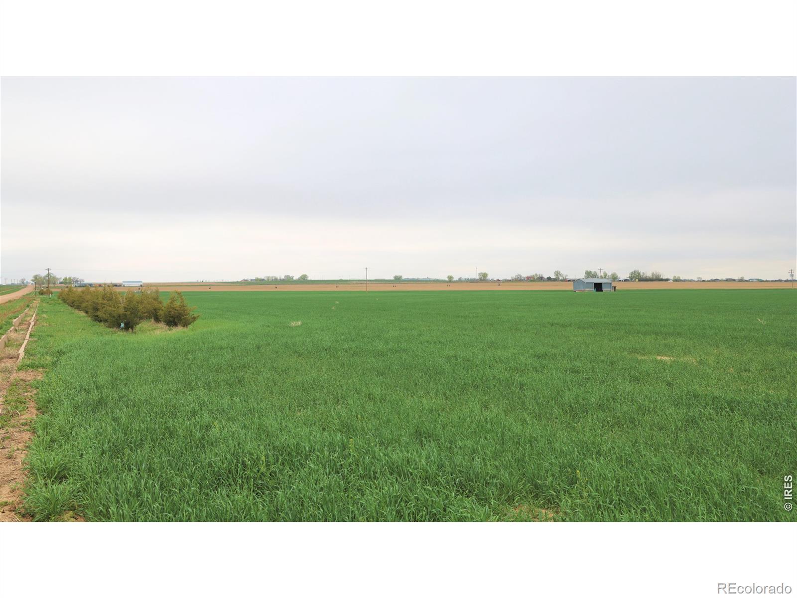 Photo of Listing #IR1052961