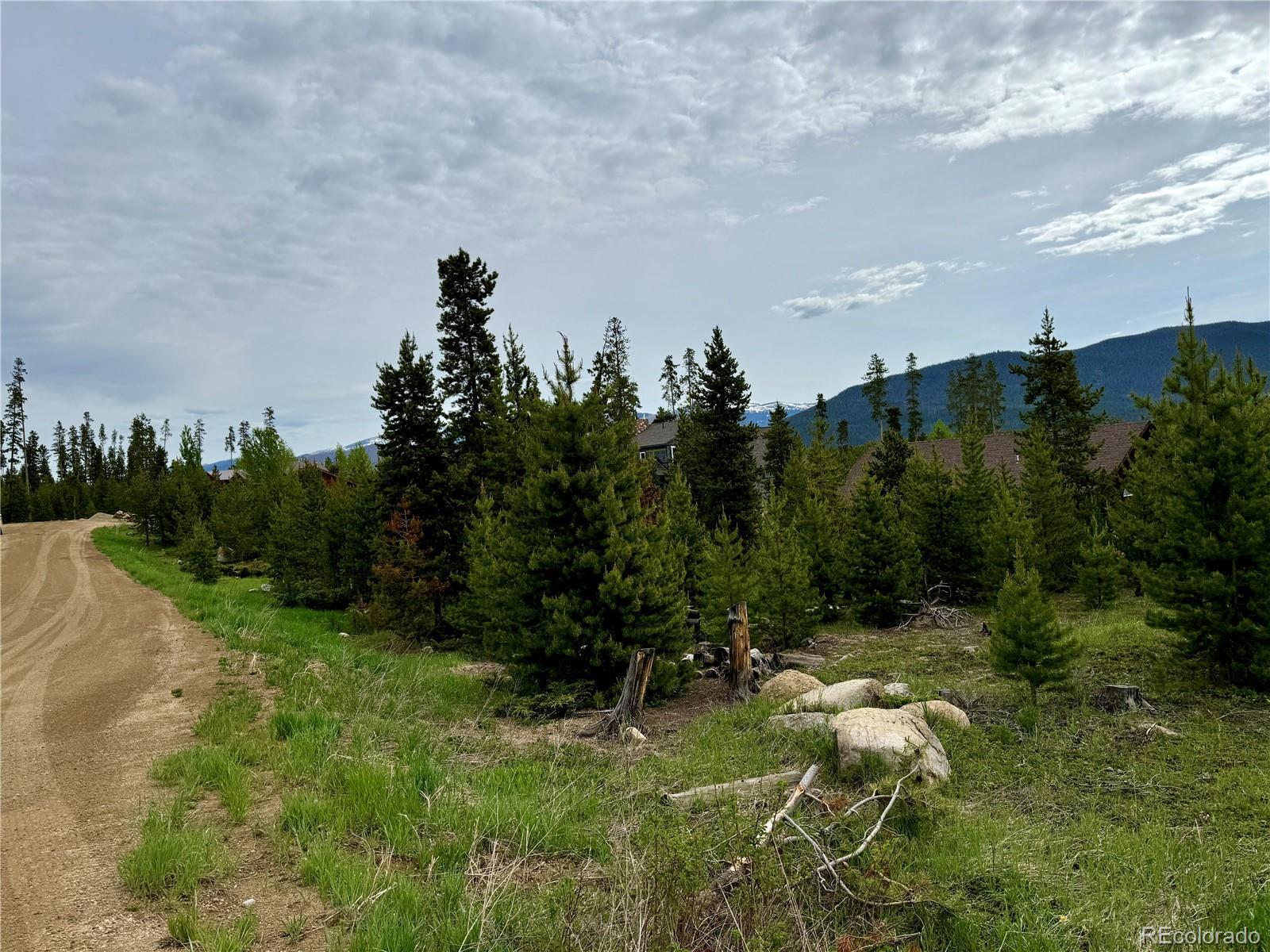 Photo of Listing #1528877
