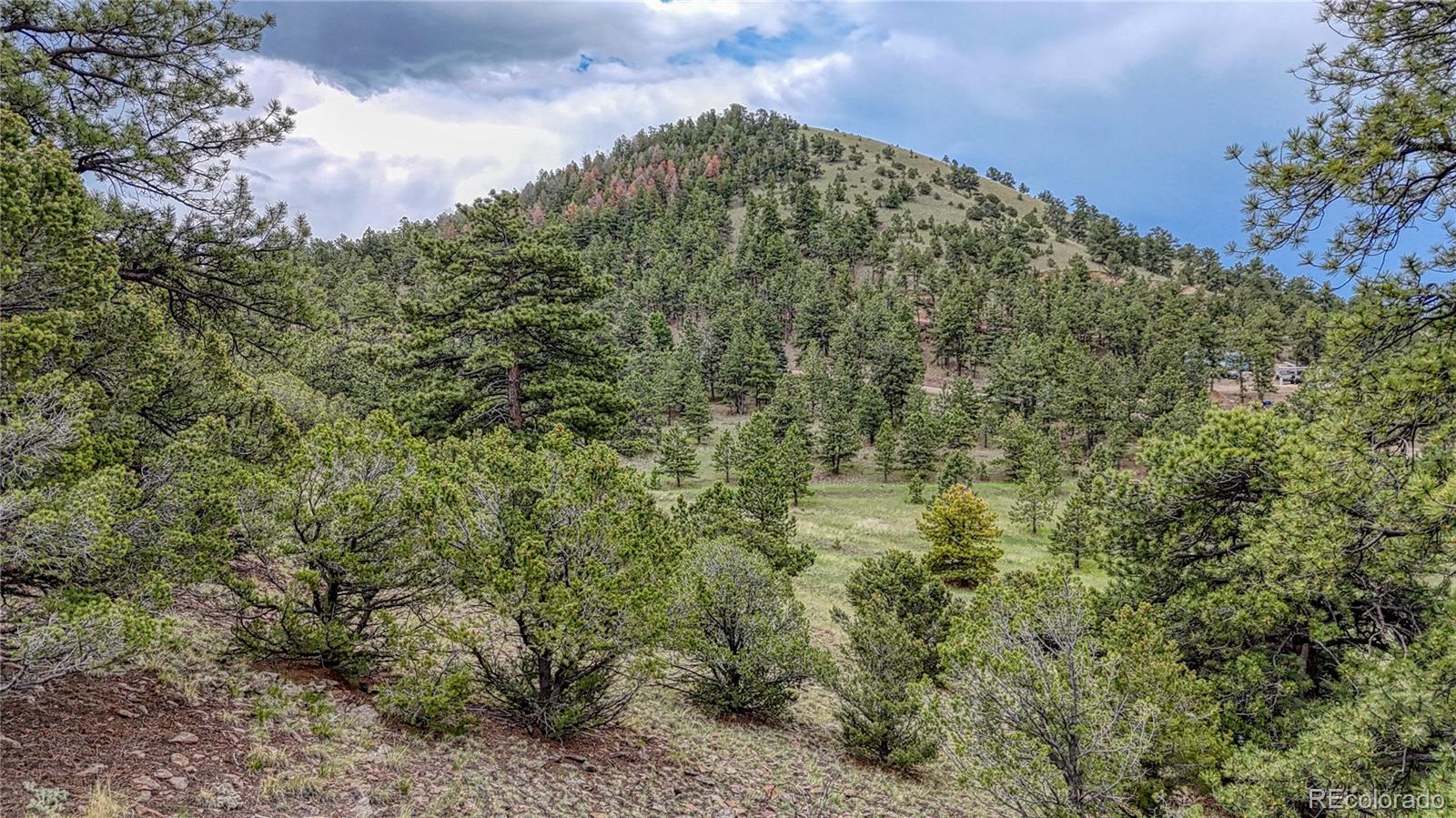 Photo of Listing #1530578