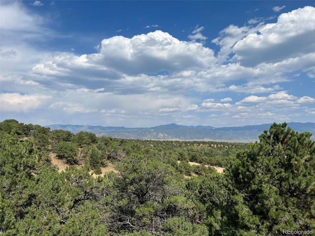 12240 Saddle Ridge Lane, Salida