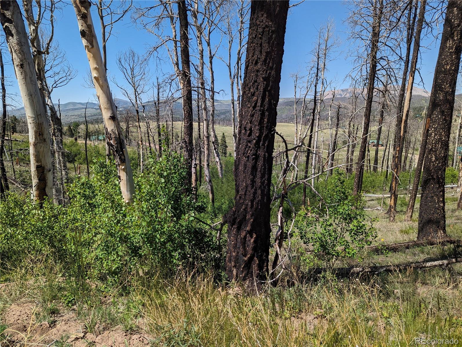 Photo of Listing #1597006