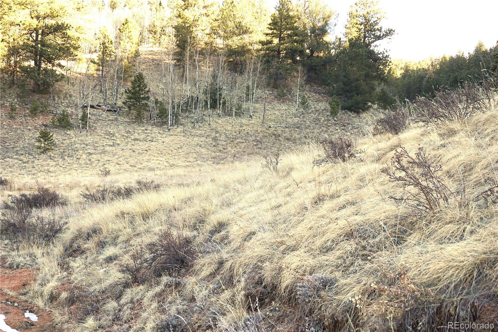 Photo of Listing #1686065