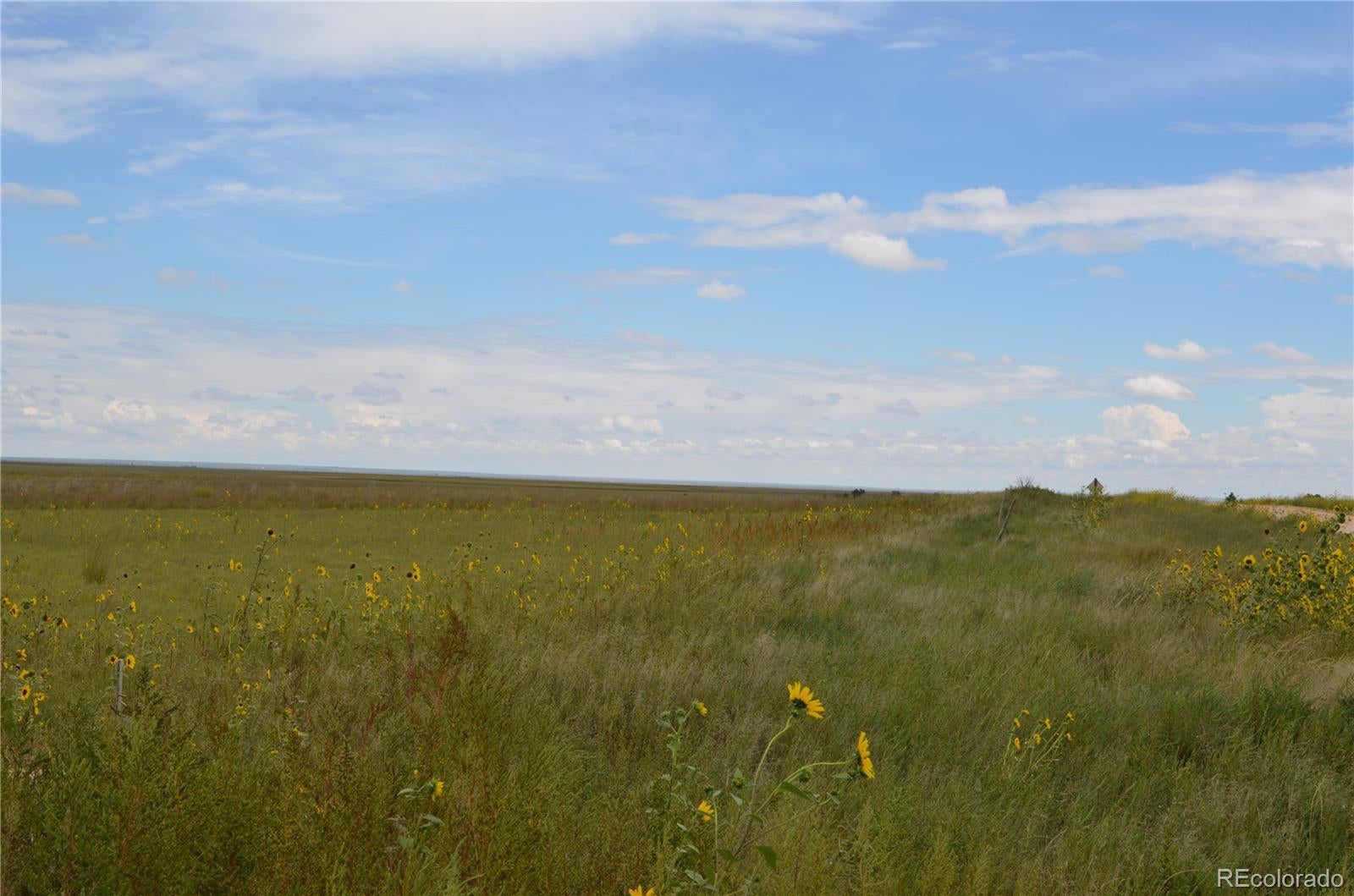 Photo of Listing #1704228