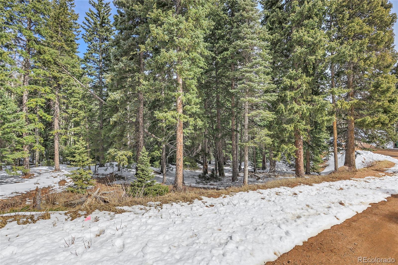 Photo of Listing #1717184