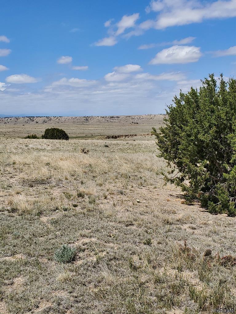 Photo of Listing #1729455