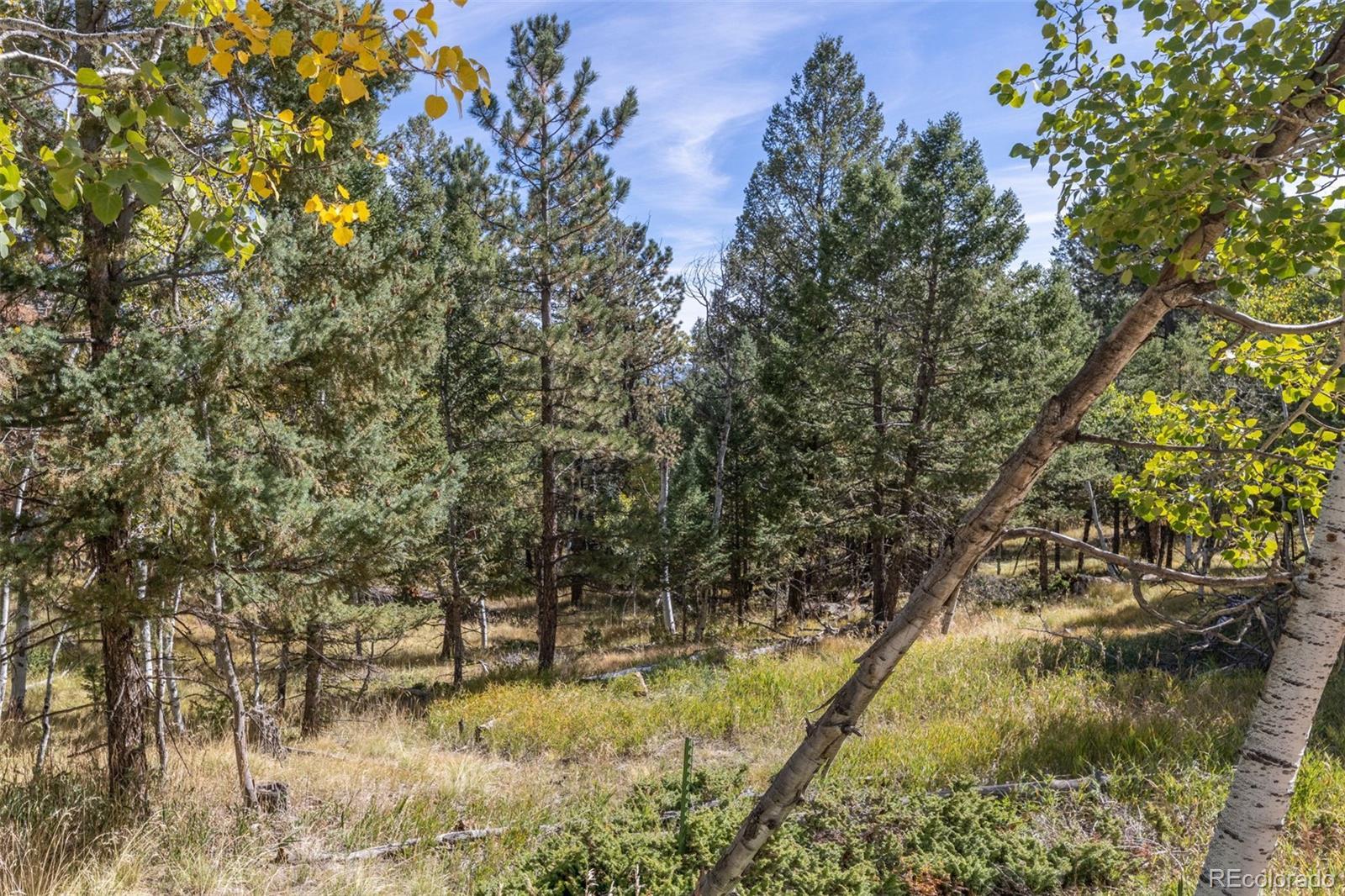 Photo of Listing #1779438