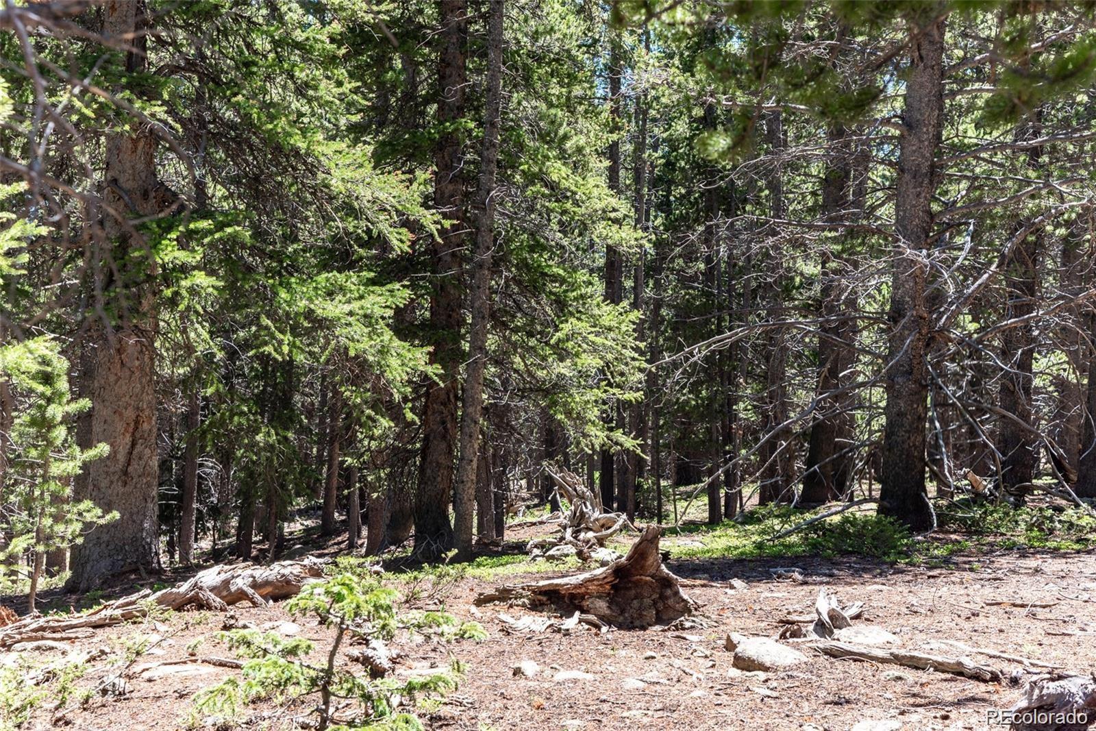 Photo of Listing #1806861