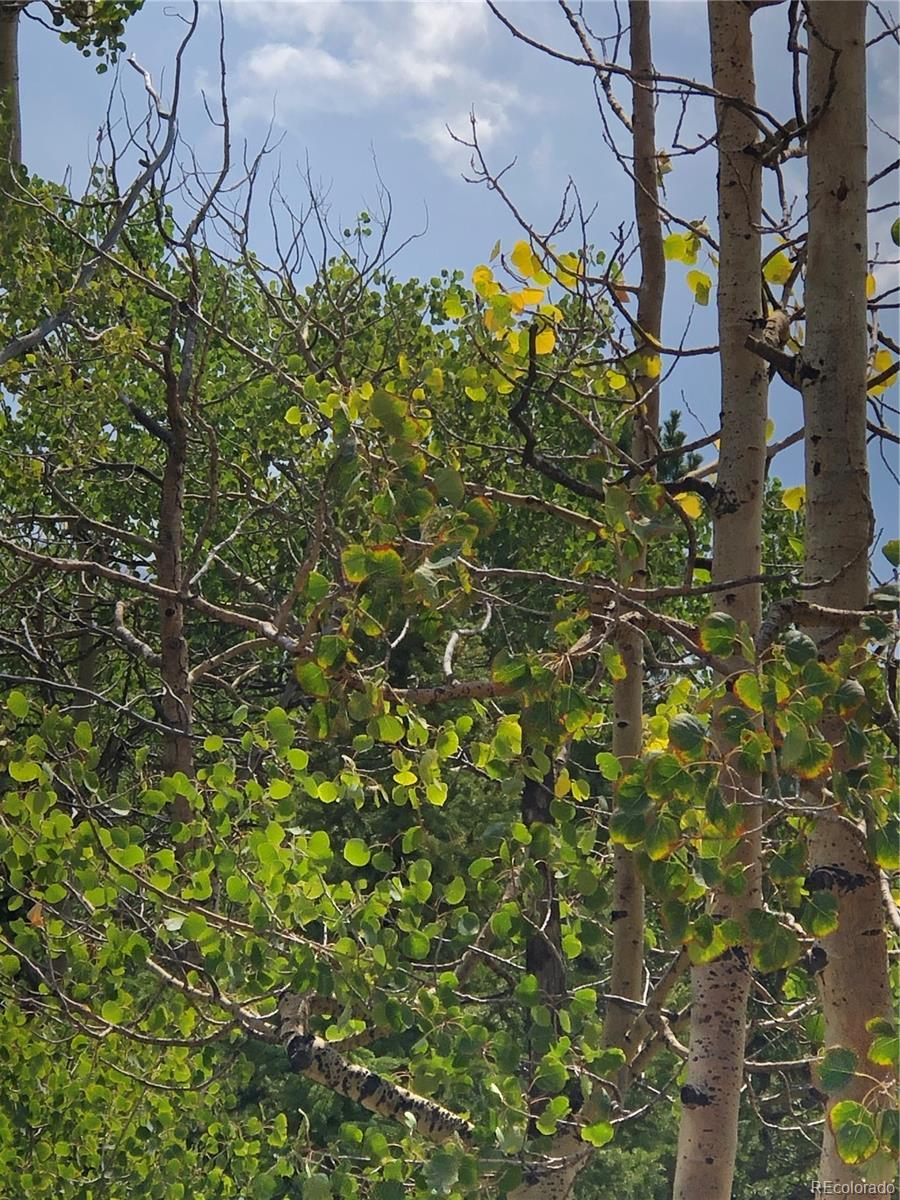 Photo of Listing #1844881