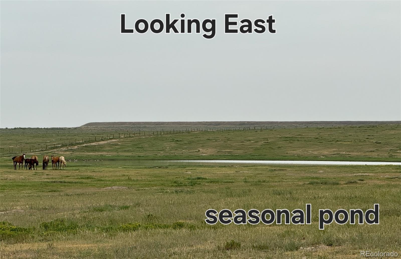 Photo of Listing #1848530