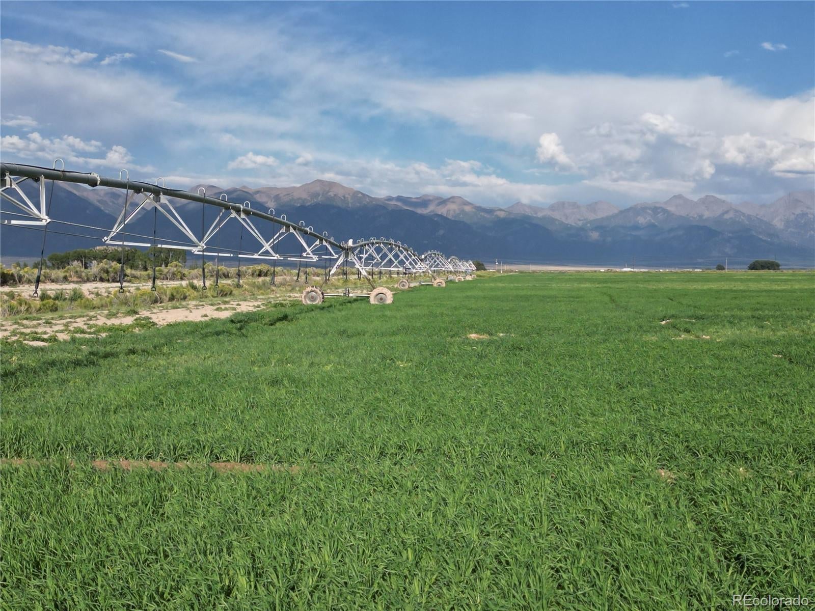 Photo of Listing #1870062