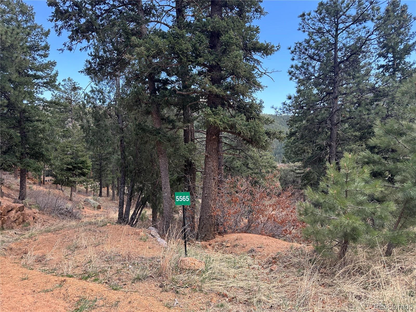 Photo of Listing #1870132